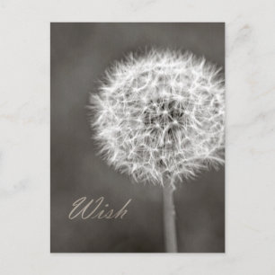 Inspired Wish Dandelion Vykort