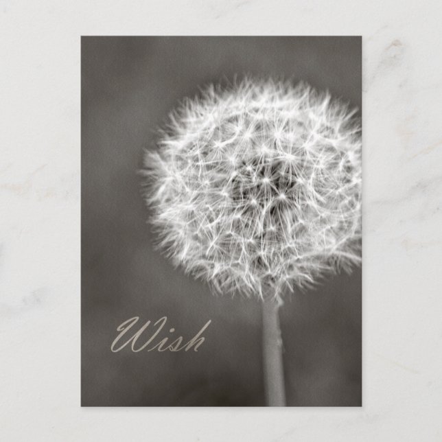 Inspired Wish Dandelion Vykort (Framsida)