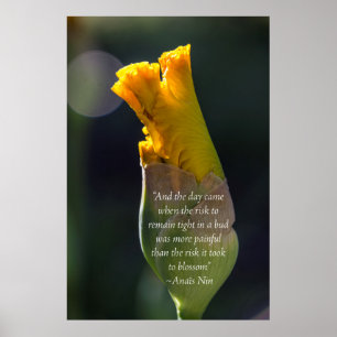 Inspirera affisch för Anais Nin citationstecken