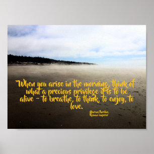 Inspirera foto för citationsteckenhavstrand poster