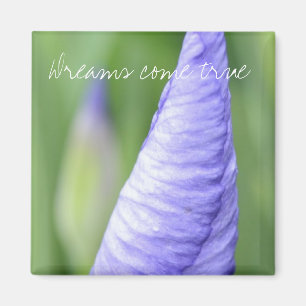 Inspirera Iris Magnet