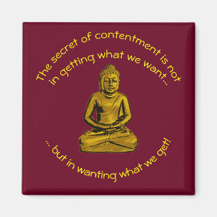 Inspirera magnet