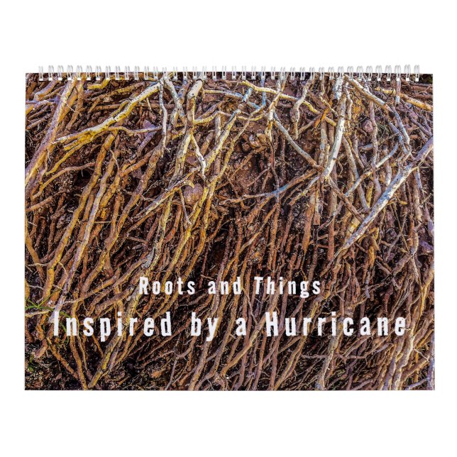 Inspirerad av en orkankalender kalender (Omslag)