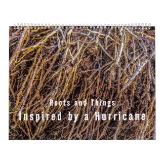 Inspirerad av en orkankalender kalender