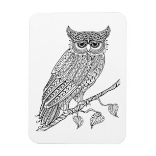 Inspirerad magisk ugglasitta på gren magnet