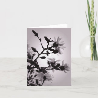 Inspirerad Magnolia för asiat Kort