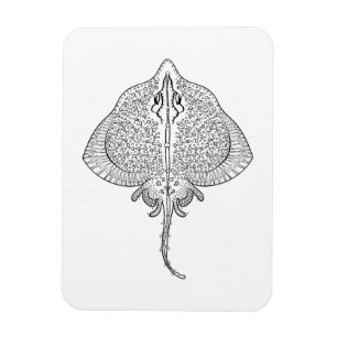 Inspirerad StingrayTotem Magnet
