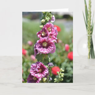 Inspirerade Hollyhockblommor Kort
