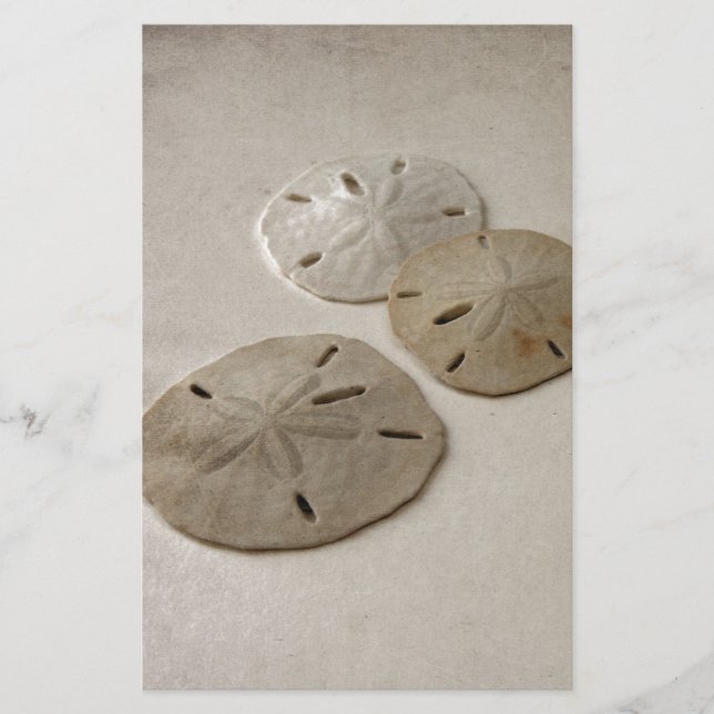 Inspirerade Sanddollar för vintage Brevpapper (Framsida)