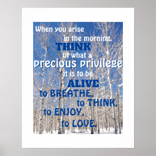 Inspirerande citat Höga asp i snö Foto Poster