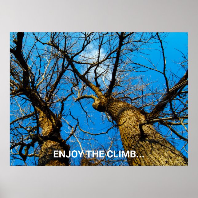 INSPIRERANDE NATUR FOTO KONST POSTER (Framsidan)