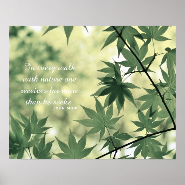 Inspirerande naturcitat poster (Framsidan)