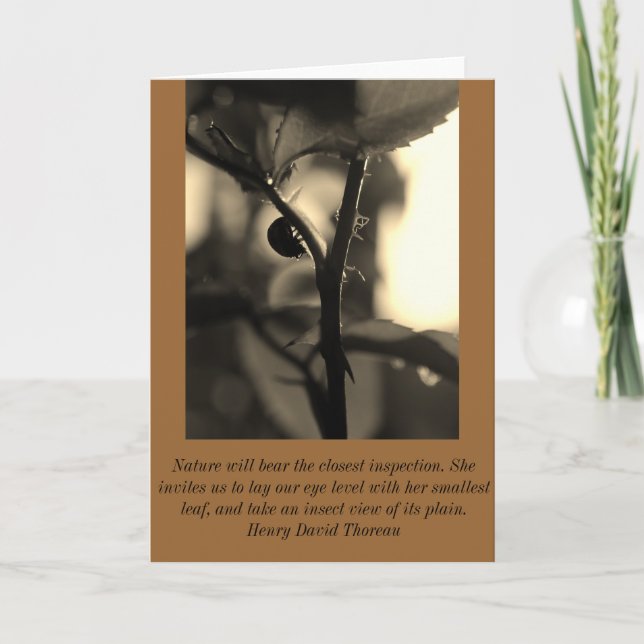 Inspirerat hälsningkort för natur med nyckelpiga kort (Framsida)