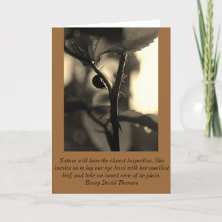 Inspirerat hälsningkort för natur med nyckelpiga kort