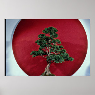Inspiring Bonsai träd Poster