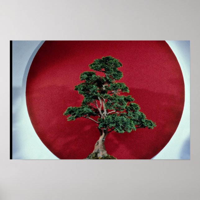 Inspiring Bonsai träd Poster (Framsidan)
