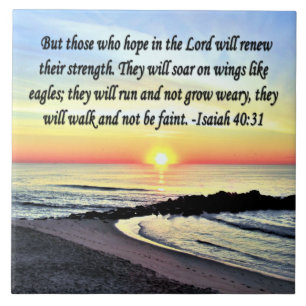 INSPIRING ISAIAH 40:31 KAKELPLATTA