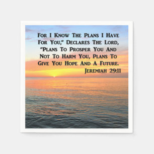 INSPIRING JEREMIAH 29:11 SUNRISE PAPPERSSERVETT
