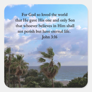 INSPIRING JOHN 3:16 PHOTO FYRKANTIGT KLISTERMÄRKE