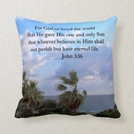 INSPIRING JOHN 3:16 PHOTO KUDDE