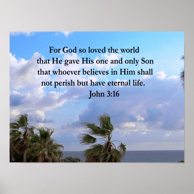 INSPIRING JOHN 3:16 PHOTO POSTER (Framsidan)