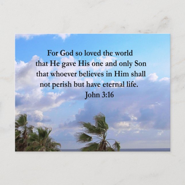 INSPIRING JOHN 3:16 PHOTO VYKORT (Framsida)