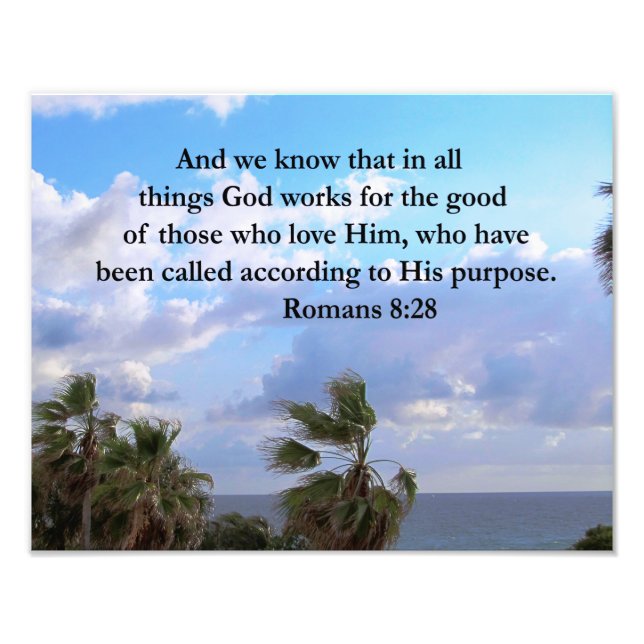 INSPIRING ROMANS 8:28 FOTOTRYCK (Framsidan)