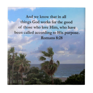 INSPIRING ROMANS 8:28 KAKELPLATTA