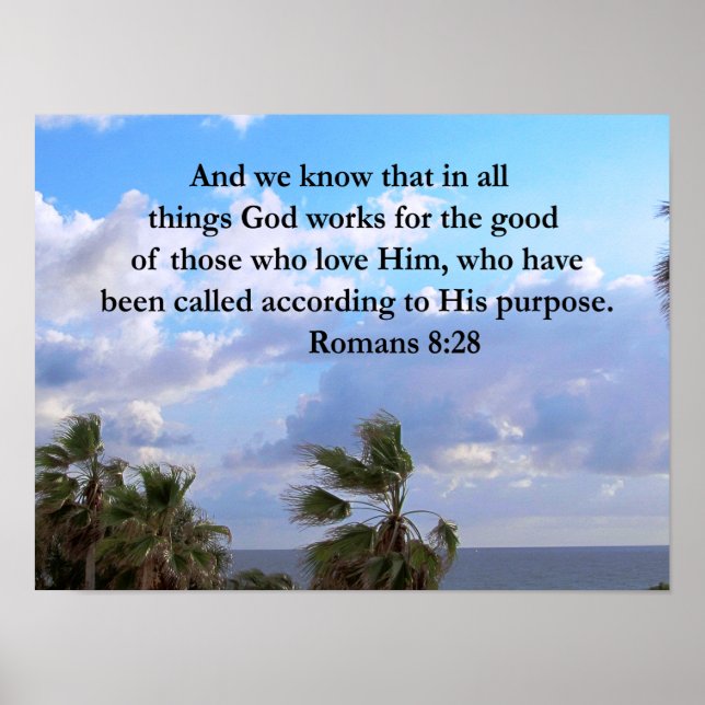 INSPIRING ROMANS 8:28 POSTER (Framsidan)
