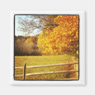 instagramfotomagnet magnet