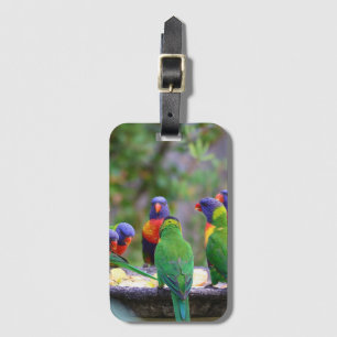 Inställning av färgstarka regnbågslorikeet Parrots Bagagebricka