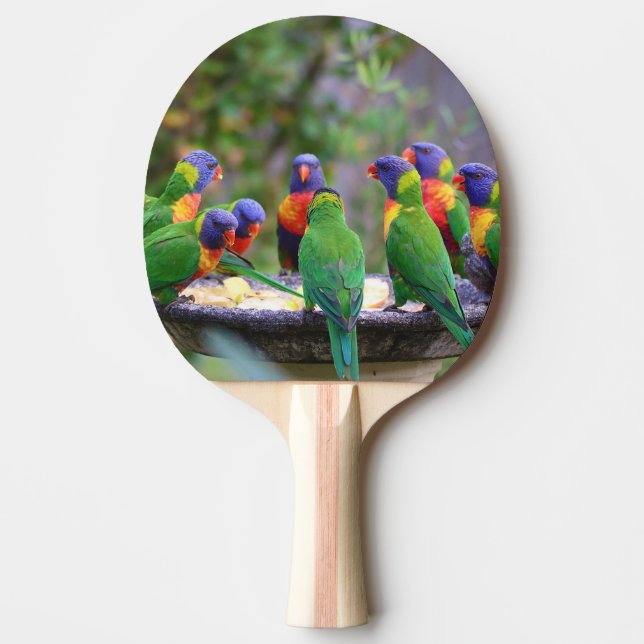 Inställning av färgstarka regnbågslorikeet Parrots Pingisracket (Framsidan)