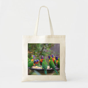 Inställning av färgstarka regnbågslorikeet Parrots Tygkasse