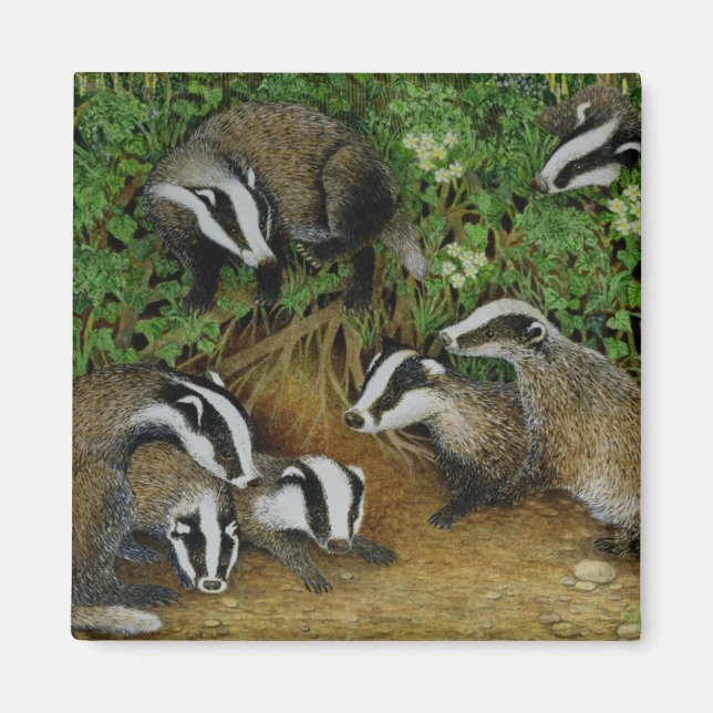 Inställning Magnet (Framsidan)