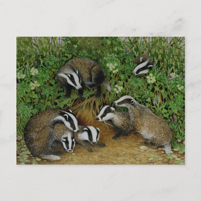 Inställning Vykort (Framsida)