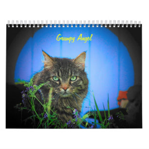 Inställningen av den Grumpy ängeln 16 månad Kalender