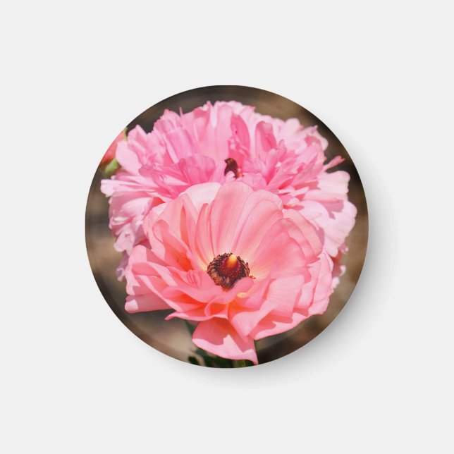 Instoppning i Rosa Magnet (Framsidan)