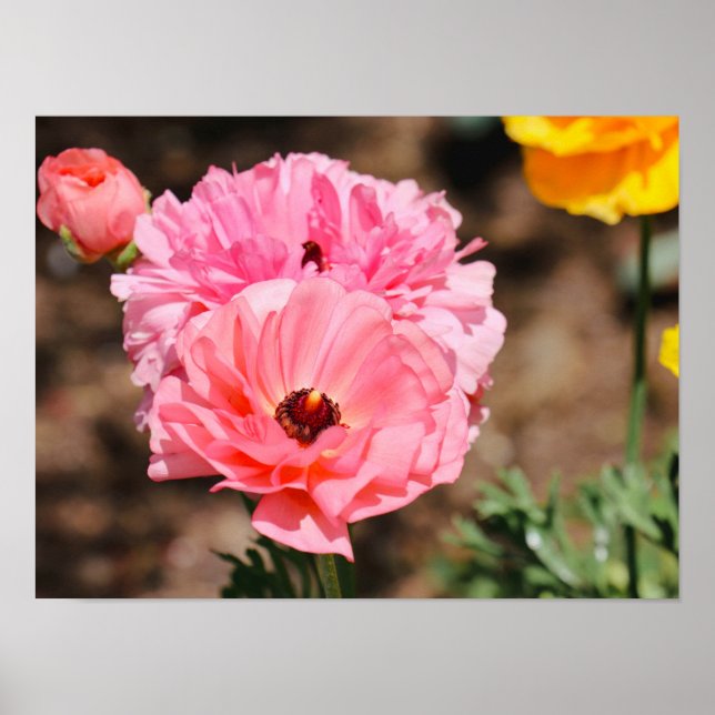 Instoppning i Rosa Poster (Framsidan)