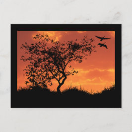 Instruktionskort ett vykort