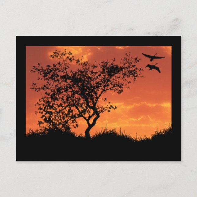 Instruktionskort ett vykort (Framsida)