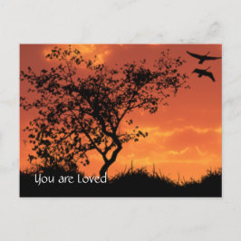 Instruktionskort ett vykort