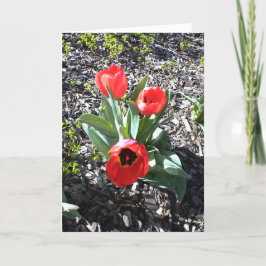 Instruktionskort för Helgdagarna Helgkort