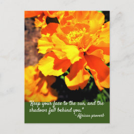 Instruktionsoffert för Bright Orange Marigolds Flo Vykort