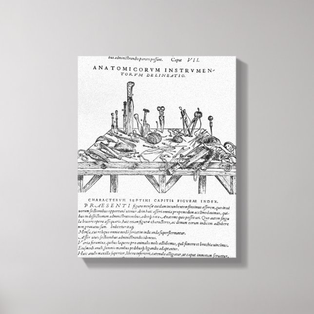 Instrument för dissekering, illustration av "De Canvastryck (Framsida)