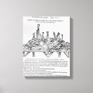 Instrumenterar för dissekeringar, illustration canvastryck