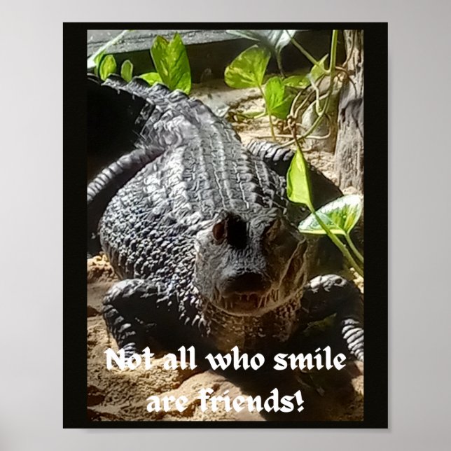 Inte alla som leker är vänners inspirationskälla poster (Framsidan)