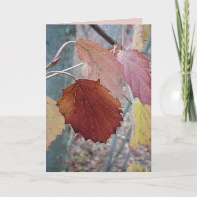 Inte ännu stupat kort (Framsida)