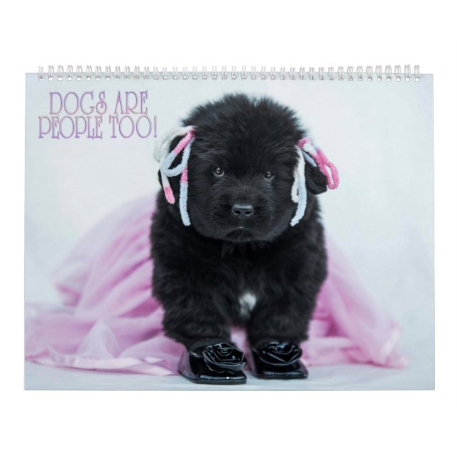Inte att bära Hundar är människor också! Kalender (Omslag)