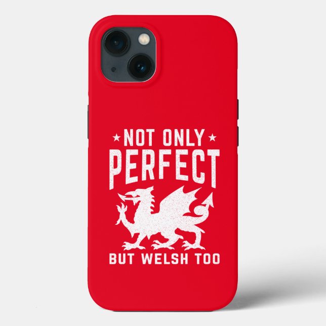 Inte bara perfekt men också roligt Wales på walesi (Baksida)