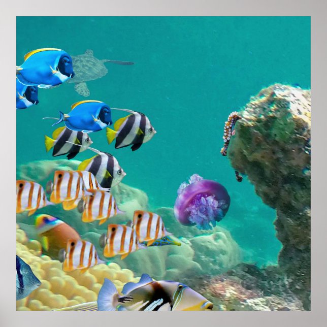 Inte bara tropisk fisk lever på korallrev poster (Framsidan)